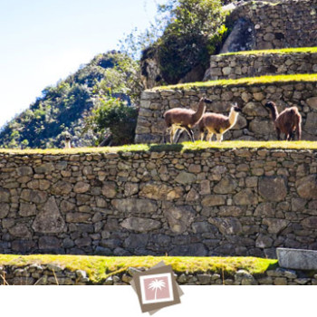 Machu Picchu, Peru