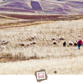 Cousco, Peru