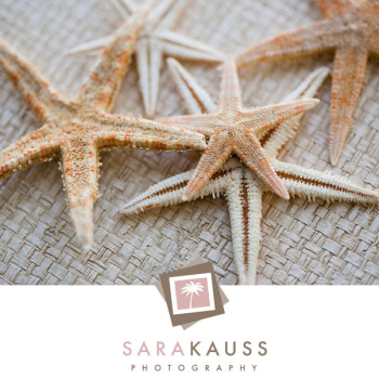 miami_wedding_3_starfish