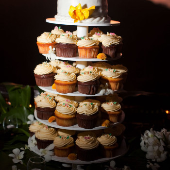 costa_rica_wedding-37_cupcakes