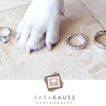 florida-keys-backyard-wedding-3_rings-with-paws