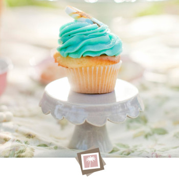 picnic-engagement-14_dd-s-cupcakes-jupter