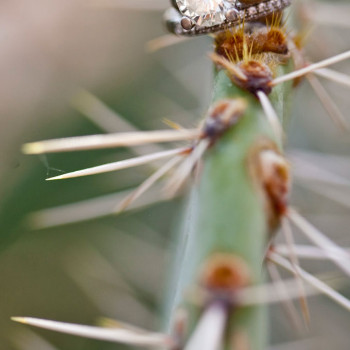 arizona-wedding-photographer-20