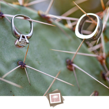 arizona-wedding-photographer-6_rings-cactus