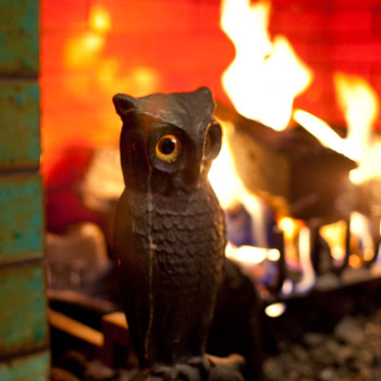 new_york_photographer_19_owl_fire