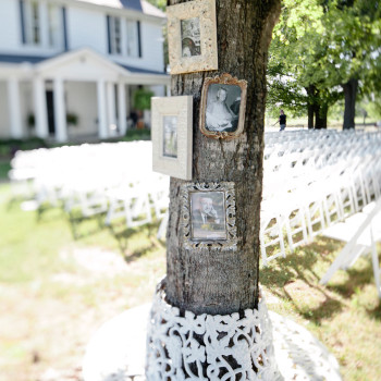 tennessee_wedding_photographer_8_family_tree_on_a_tree