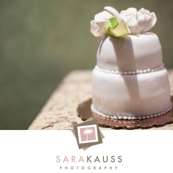 costa_rica_wedding_29_wedding_cake