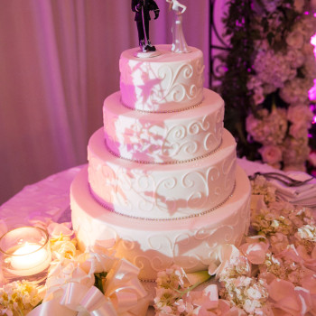 ashley-and-stephen-weiss-wedding_35_cake_hockey-player