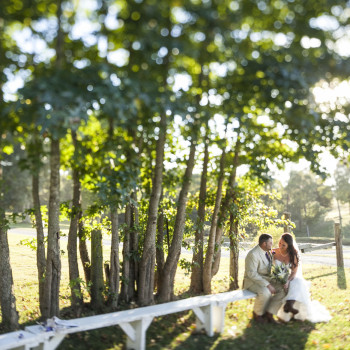 nashville-wedding-owen-farm-24-bride-and-groom-pretty-lighting-in-trees