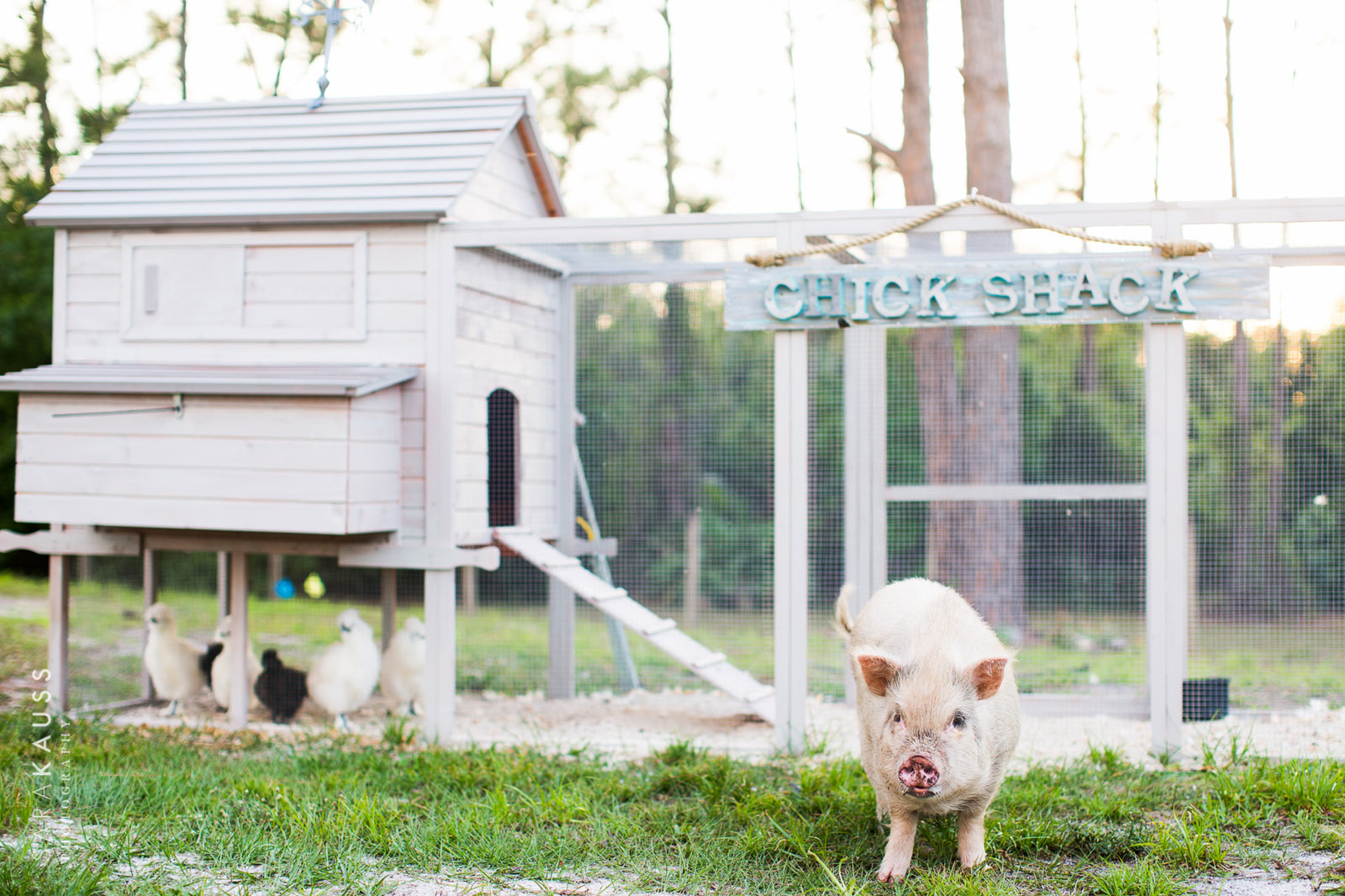 chicken-wedding-by-sara-kauss-photography-5276