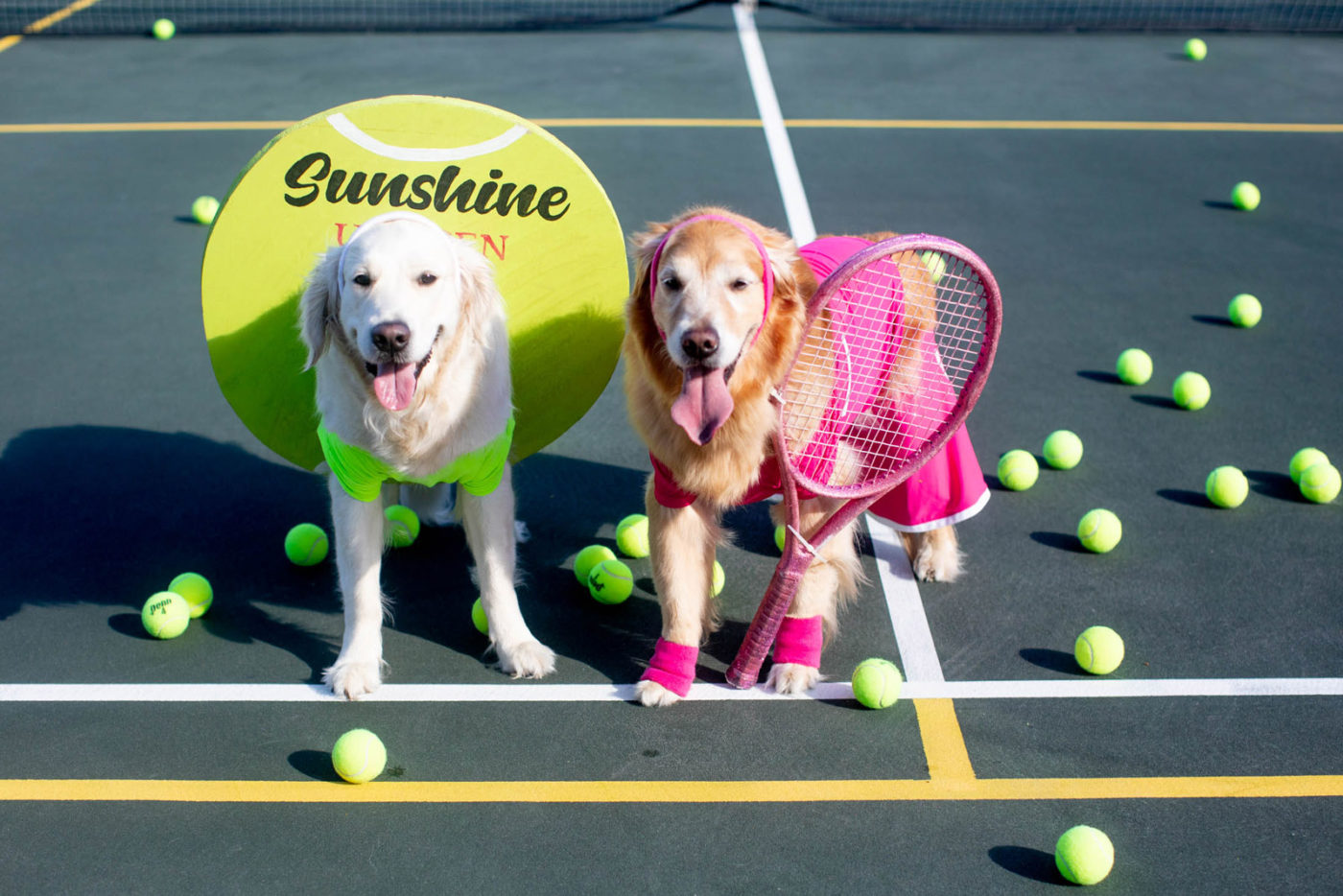 best tennis balls for dogs