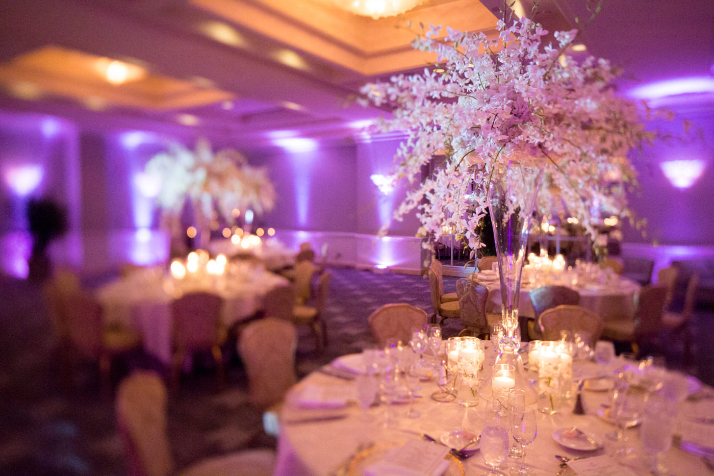 Four Seasons Palm Beach Weddings Sara Kauss Photography Four Seasons Palm Beach Weddings Sara Kauss Photography
