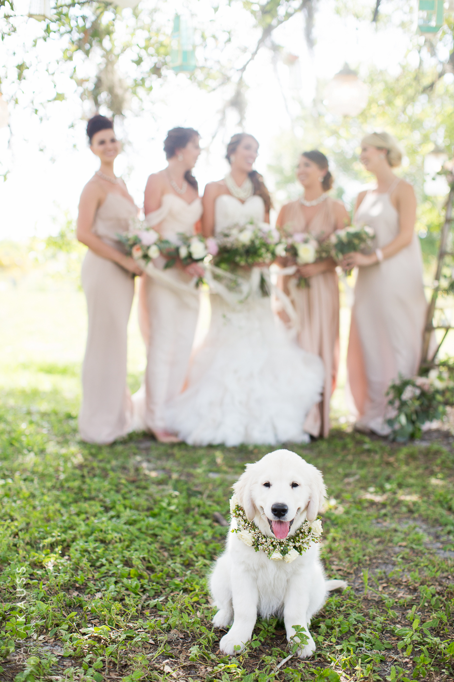 Styled Wedding Shoot at Lucky Old Sun Ranch | Featuring Ceci New York | by Sara Kauss Photography